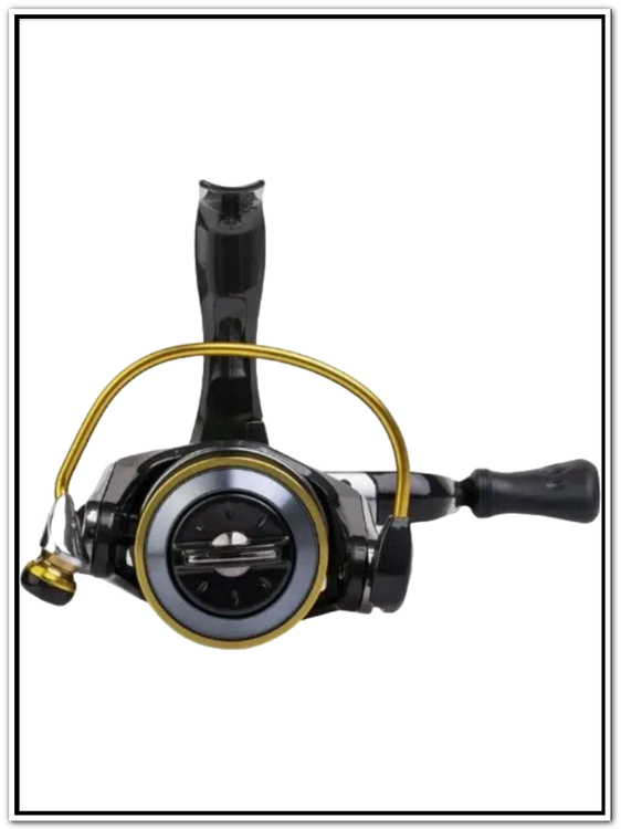 Катушка безынерц. RYOBI Ecusima 1000Vi 4+1bb з/шп